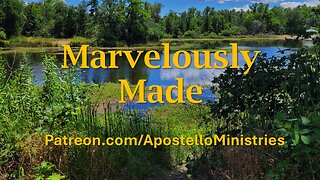 Marvelously Made!