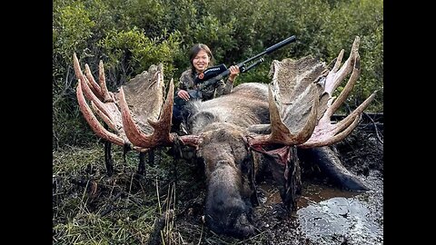 ‎🔥 ‎“Giant Moose Blocks the Road – Helicopter Rescue Shocks Everyone!”