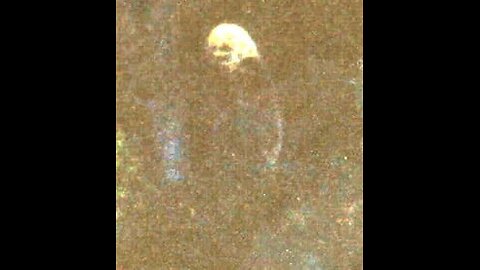 Marked Hominids