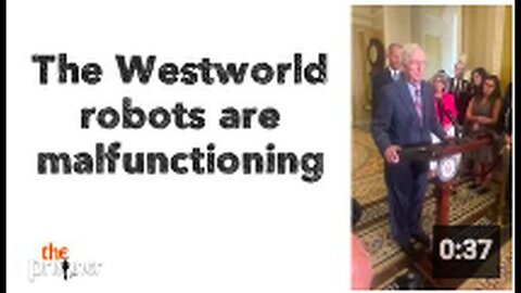 "Malfunctioning Robots in Westworld"