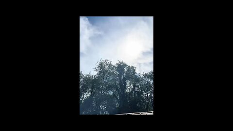 Summer is fading away….(short)
