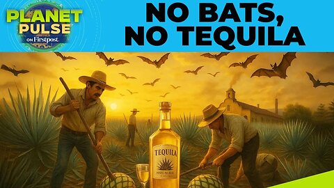 Saving Bats to Save Tequila: Inside Mexico’s Agave Restoration Drive | Planet Pulse | N18G