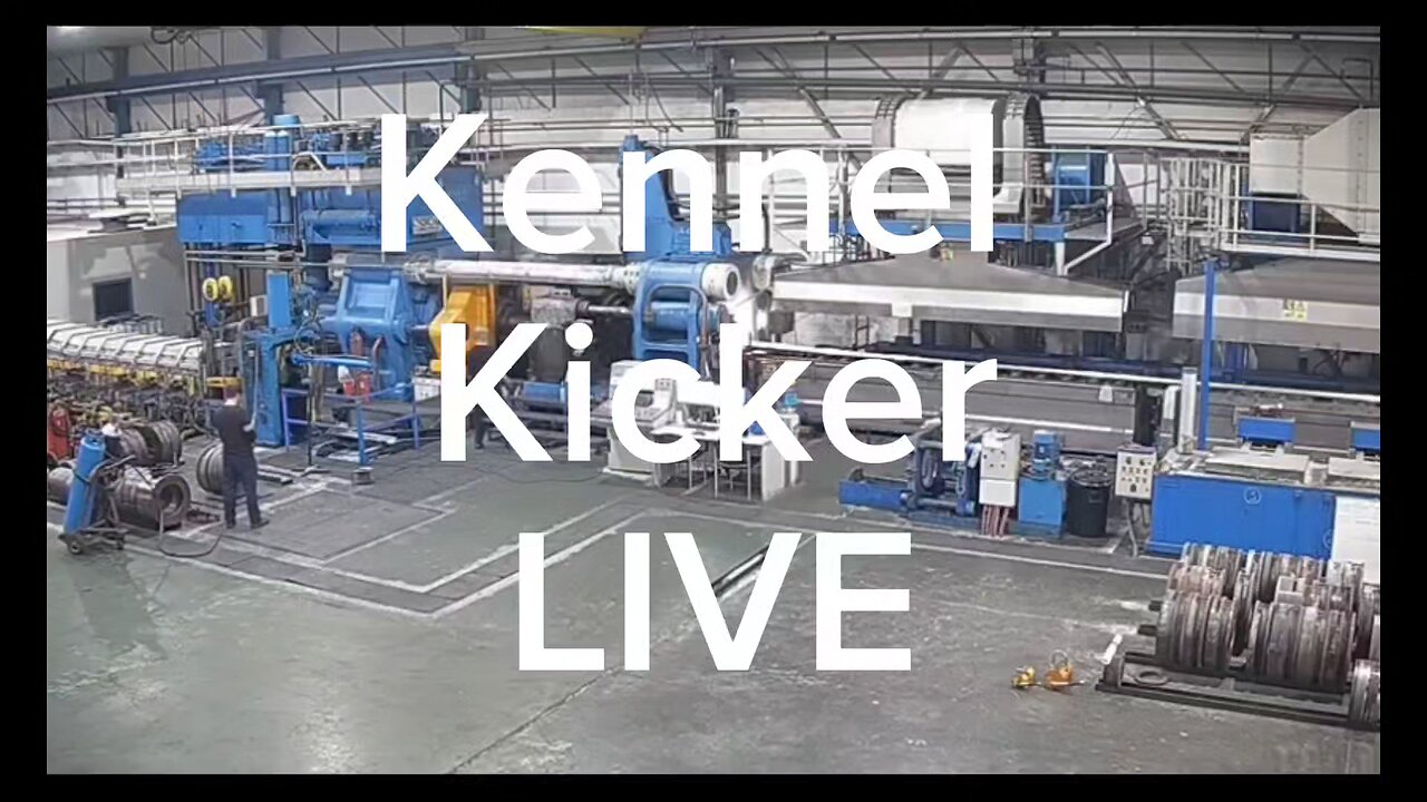 Kennelgeddon- Dillon VC Leaks