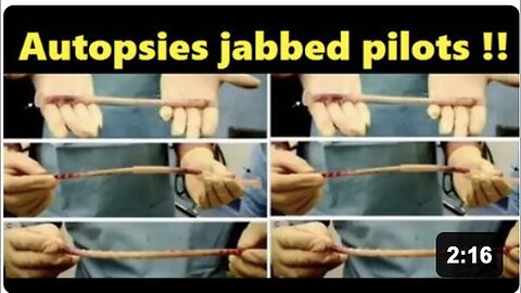 "Exploring Autopsies of Vaccinated Pilots: Insights by Dr. Robert Young"