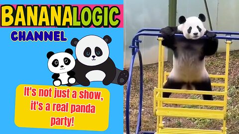 Panda party!