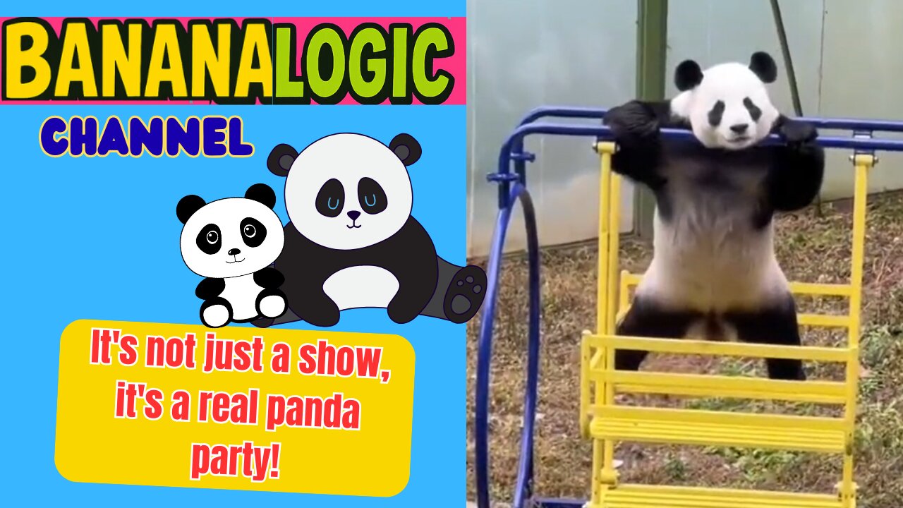 Panda party!