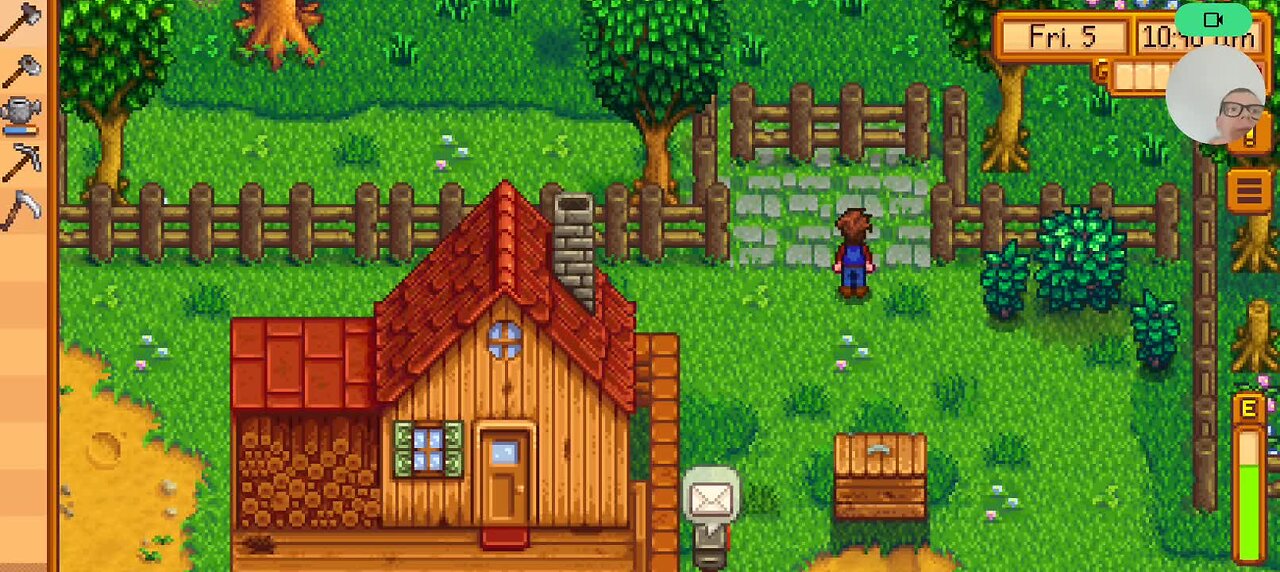 stardew valley