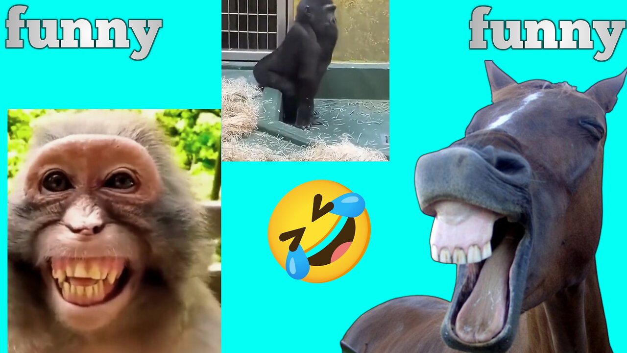 Cutest & Funniest Animals Caught on Camera 🐶🐱😂 | Try Not to Laugh