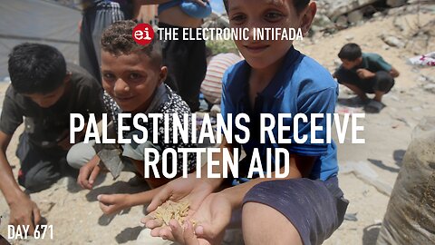 Palestinians receive rotten aid, with Nora Barrows-Friedman