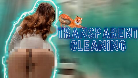 Apartment Girl | Sofi Transparent Try On | Mirror Cleaning Tips 4K HD