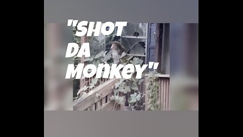Shot Da Monkey