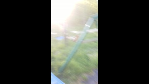 flips