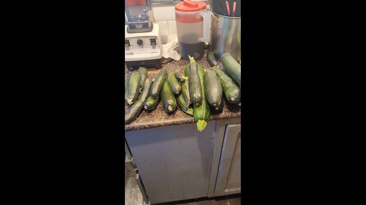 Zucchini Avalanche