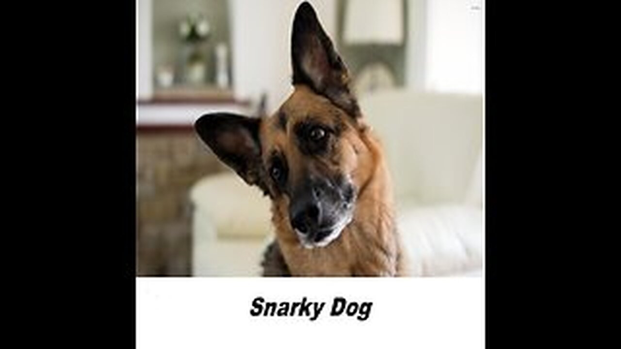 Trump’s Plethora of Strategic Blunders.