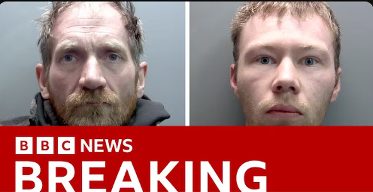 Men who cut down UK's iconic Sycamore Gap tree sentenced to four years in prison | BBC News