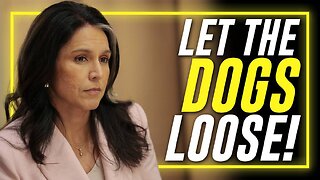 Let The Dogs Loose!!! Alex Jones Calls On President Trump