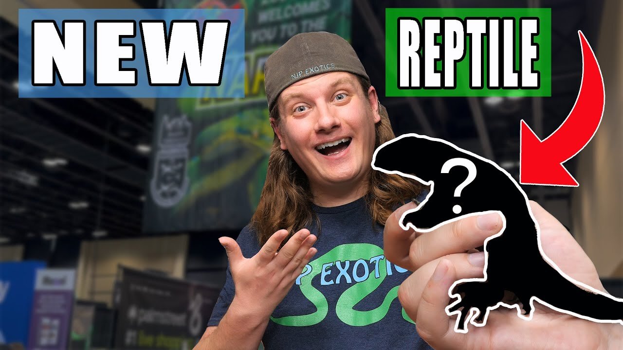 I got my Dream REPTILE!