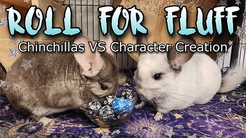 Chinchillas Play Daggerheart?! Character Creation Chaos 🐭