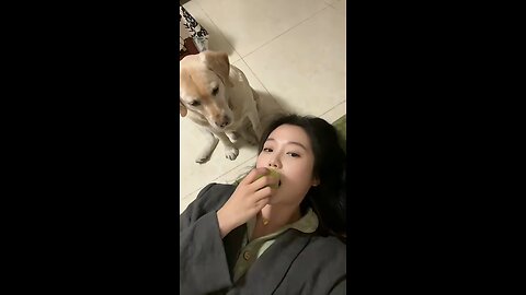 Play with dog.