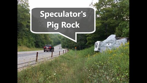 Speculator's Pig Rock song