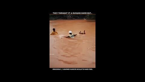 #Crocodile#
