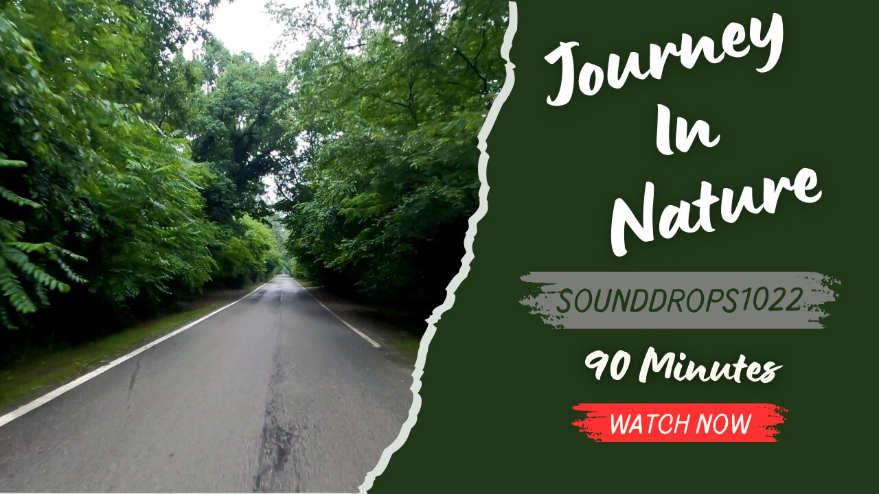 90 Minutes Journey in Nature: Relaxing Drive Ambience
