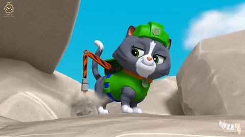 PAW Patrol Cartoons
