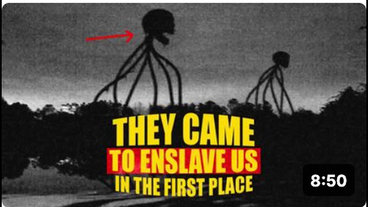 "Caution: This Video May Not Remain Available for Long"