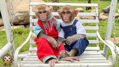 Monkey YiYi obediently plays with YinYin and waited for grandpa to take care of her