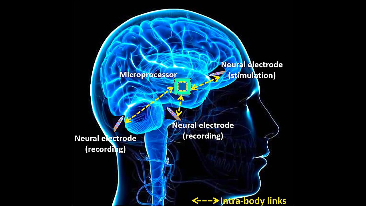 ALIENS FROM INSIDE EARTH --BIOLOGICALLY ENGINEERED ENTITIES TO FOOL (HARVEST) THE MASSES
