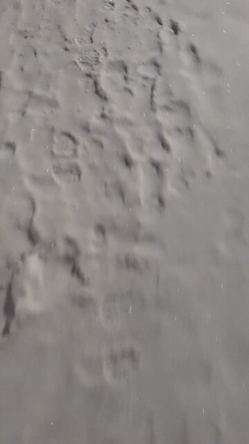 Winnipeg (Canada) Snow - 12/09/2025