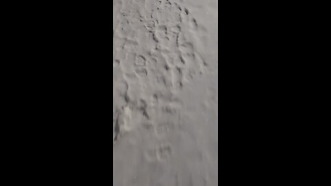 Winnipeg (Canada) Snow - 12/09/2025