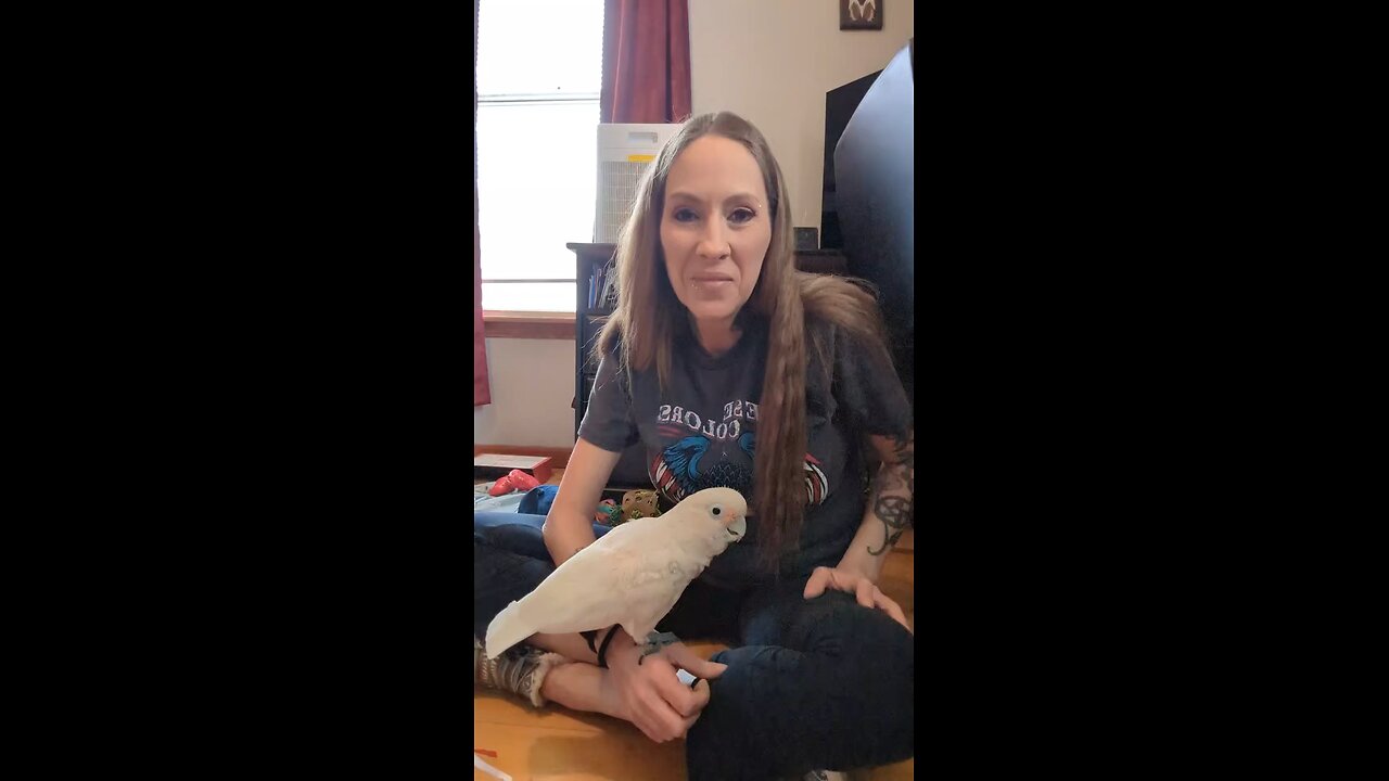 Recorded Live on TikTok