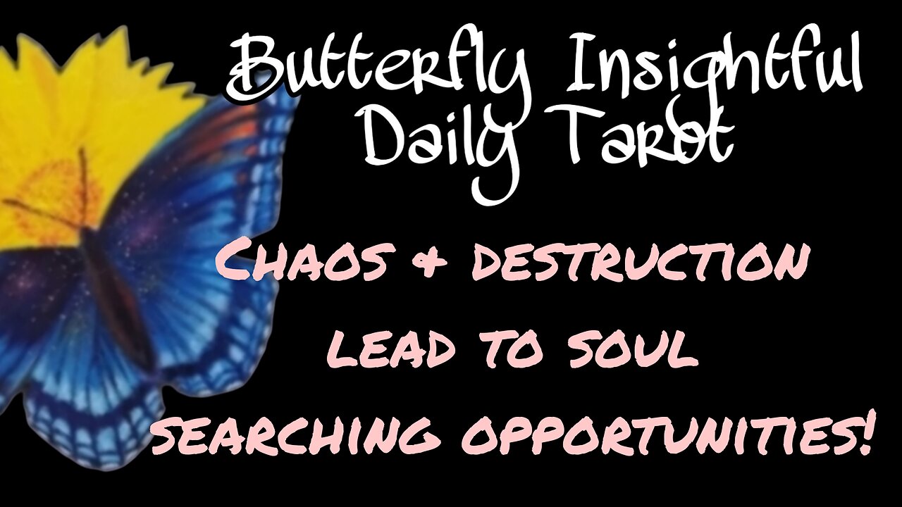 Butterfly Insightful Daily Tarot - Soul Searching, Goals, and the Hidden Power of Karma!