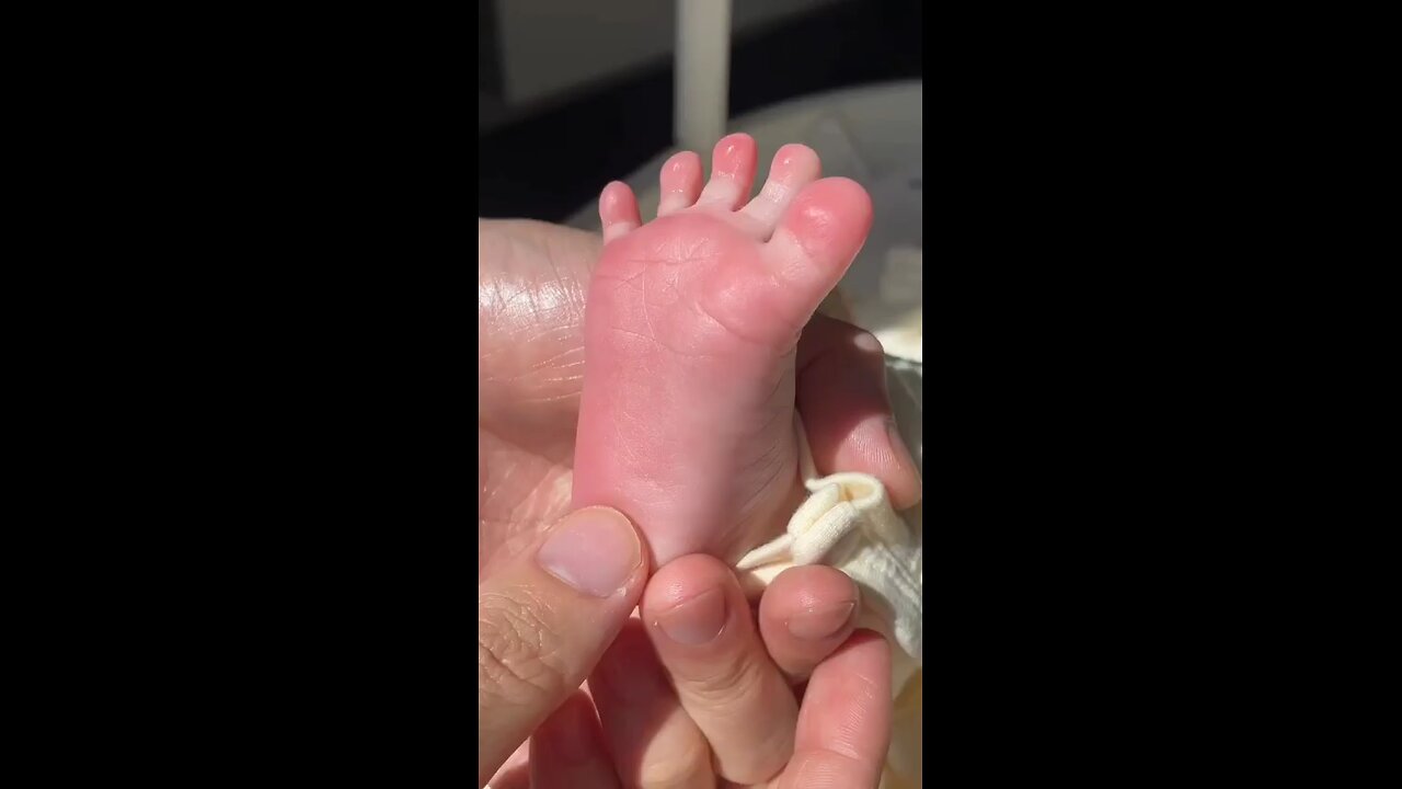 how cute it is
