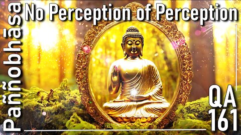 Question & Answer #161: from Hindu Morality to Enlightened Perception