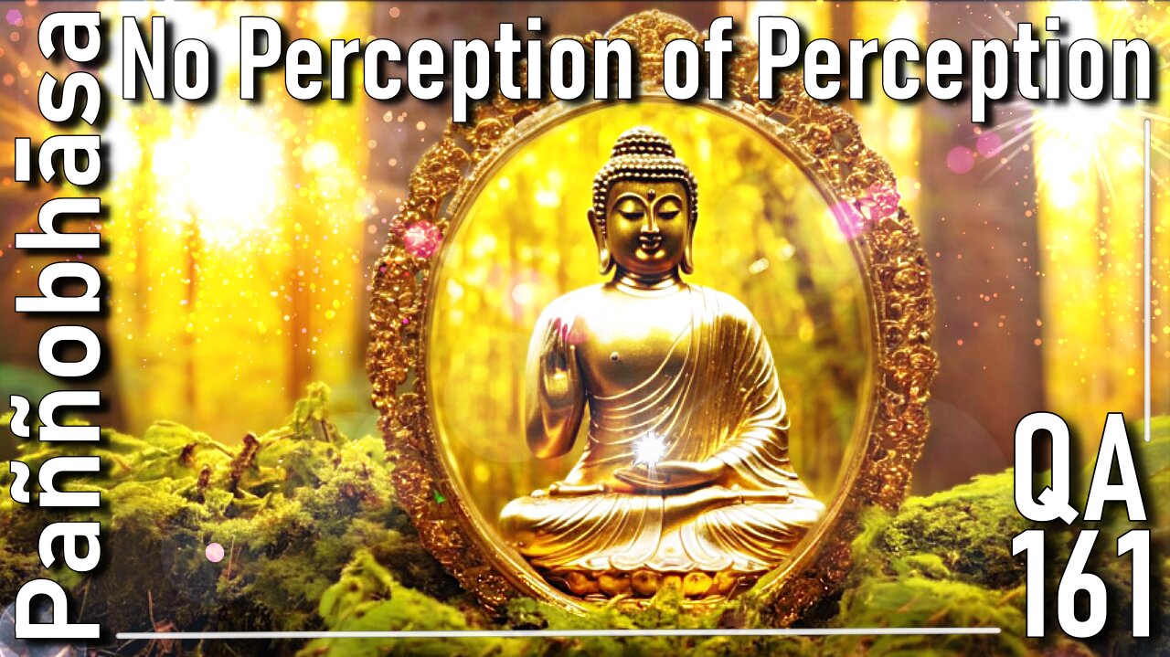 Question & Answer #161: from Hindu Morality to Enlightened Perception
