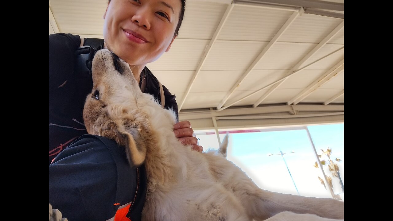 Why I don't like to spend so much $ on sunglasses 😎 quantum