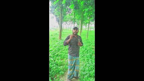 ভালোবাসা খেলনা নয়
