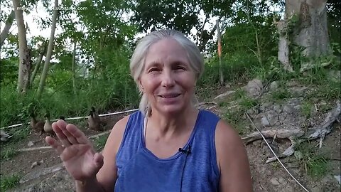 Tonight! Protect Your Privacy Webinar