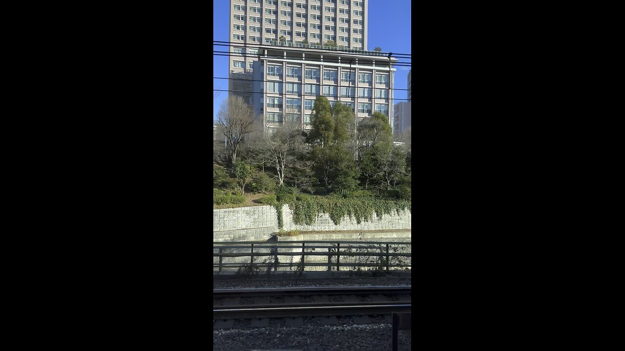 Train commute in Japan