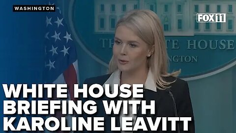 Karoline Leavitt's tense exchange with reporter over Trump's South Africa meeting