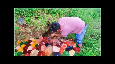 The gems are hidden in a layer of gravel, covered by vegetation. Crystal, agate, gem, agate, crystal