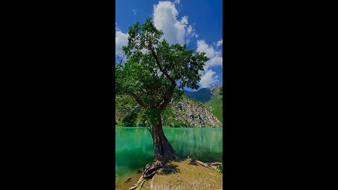 beautiful nature