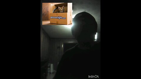 RumbleShorts Twitter Video Reply