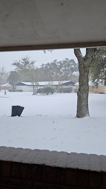 Snow in Houston Texas
