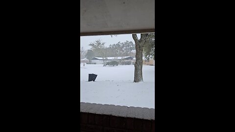 Snow in Houston Texas