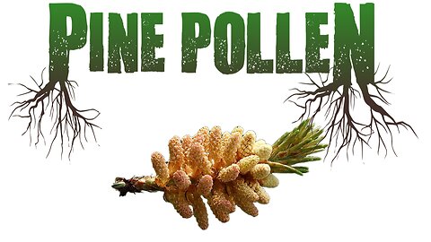 Pine Pollen Herbal Extract Review