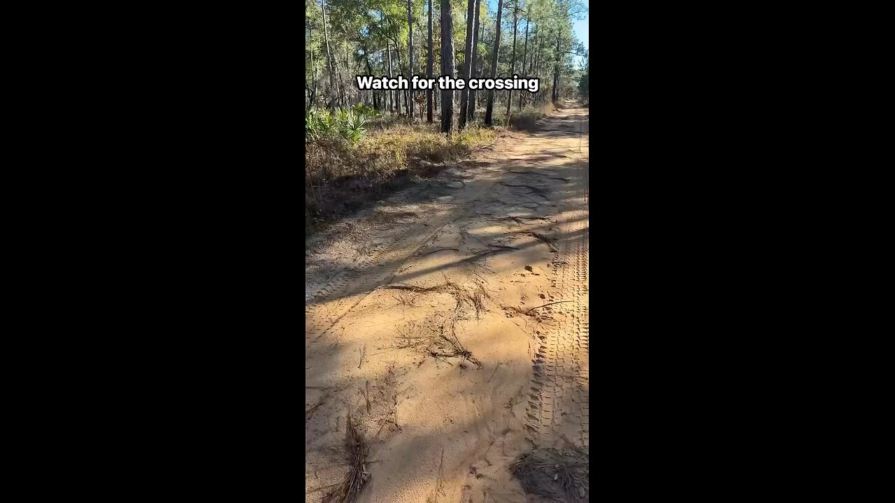 Watch for the crossing