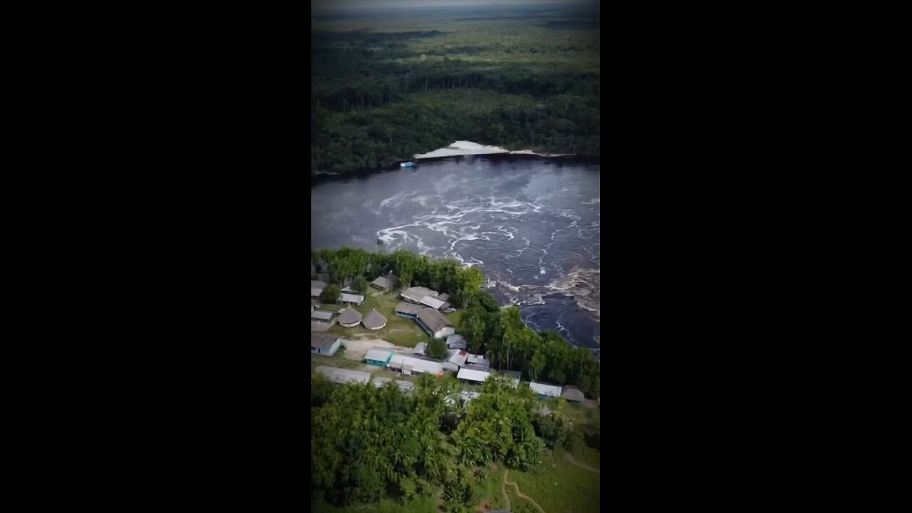 A realidade dos índios brasileiros. As ONGs não os protegem.